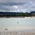 Lake Rotorua mit schwefel-gelbem Schimmer